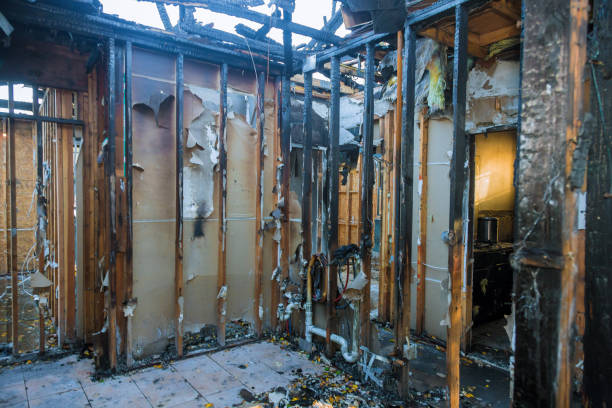 Professional Fire Damage Assessment technician working in Kings Mills, OH